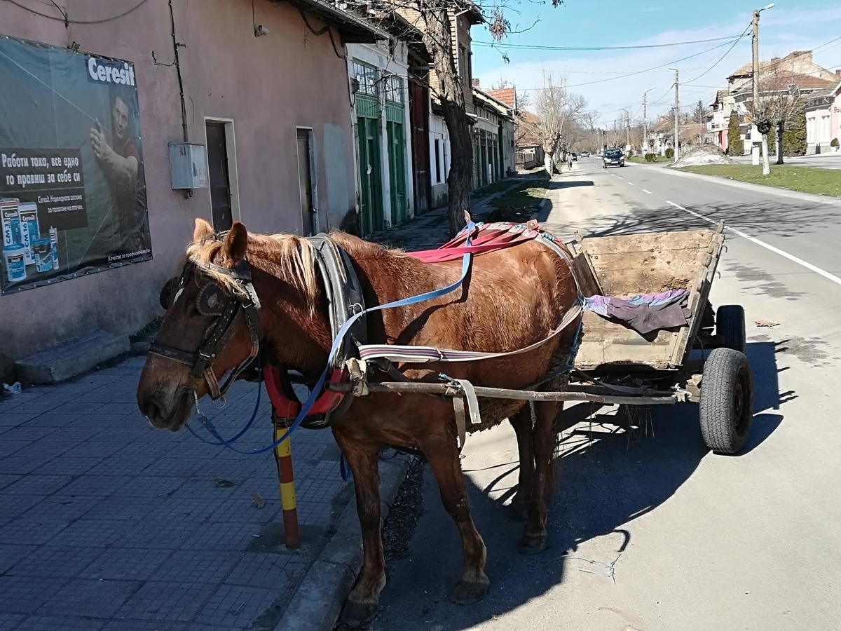 Гостевой дом Nikyup Guest House Nikyup-38